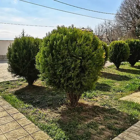 Deluxe Varna